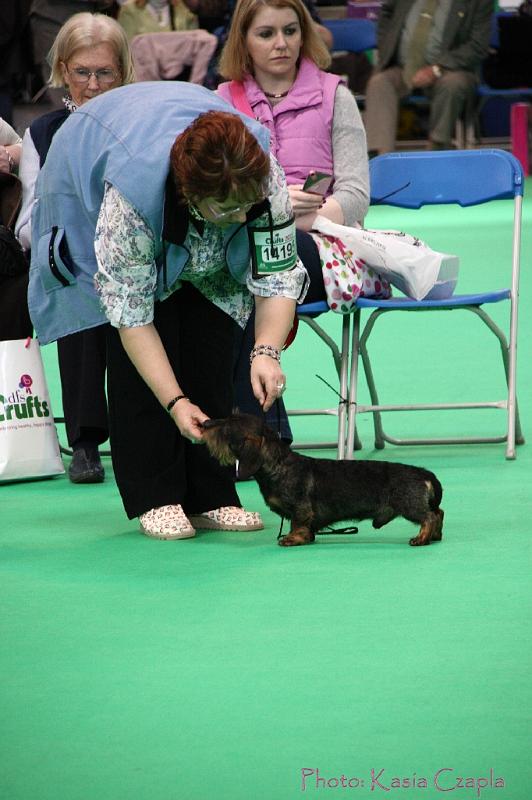 Crufts2011_2 944.jpg